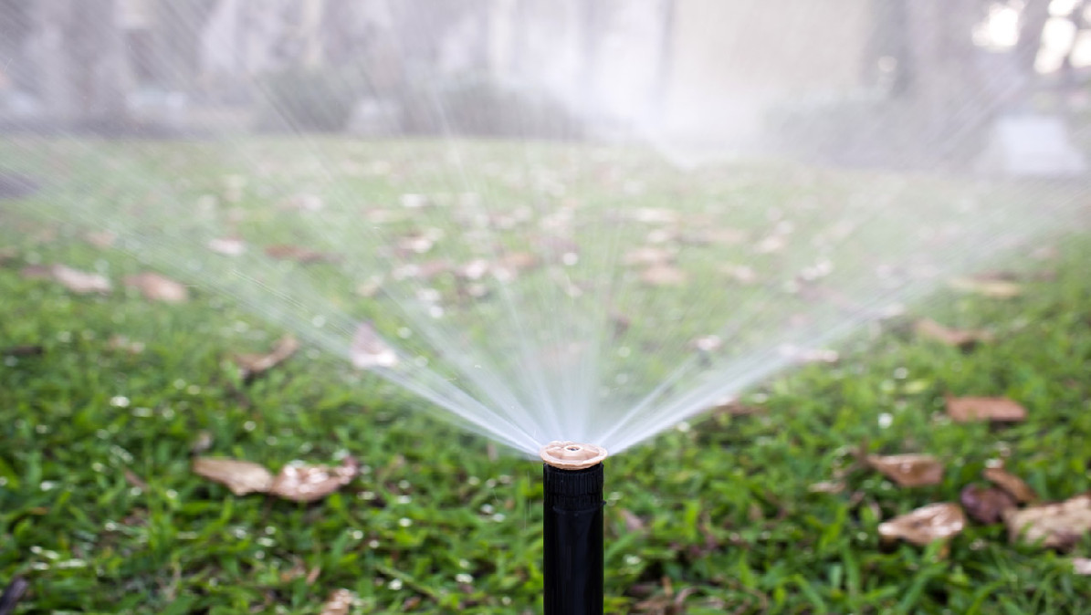 How to Locate the Sprinkler Heads with Overgrown Vegetation