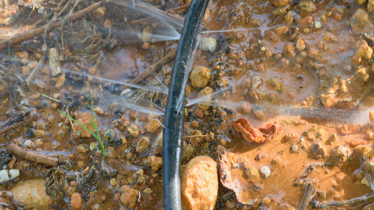 How To Find and Resolve Leaks in a Drip Irrigation System DripWorks