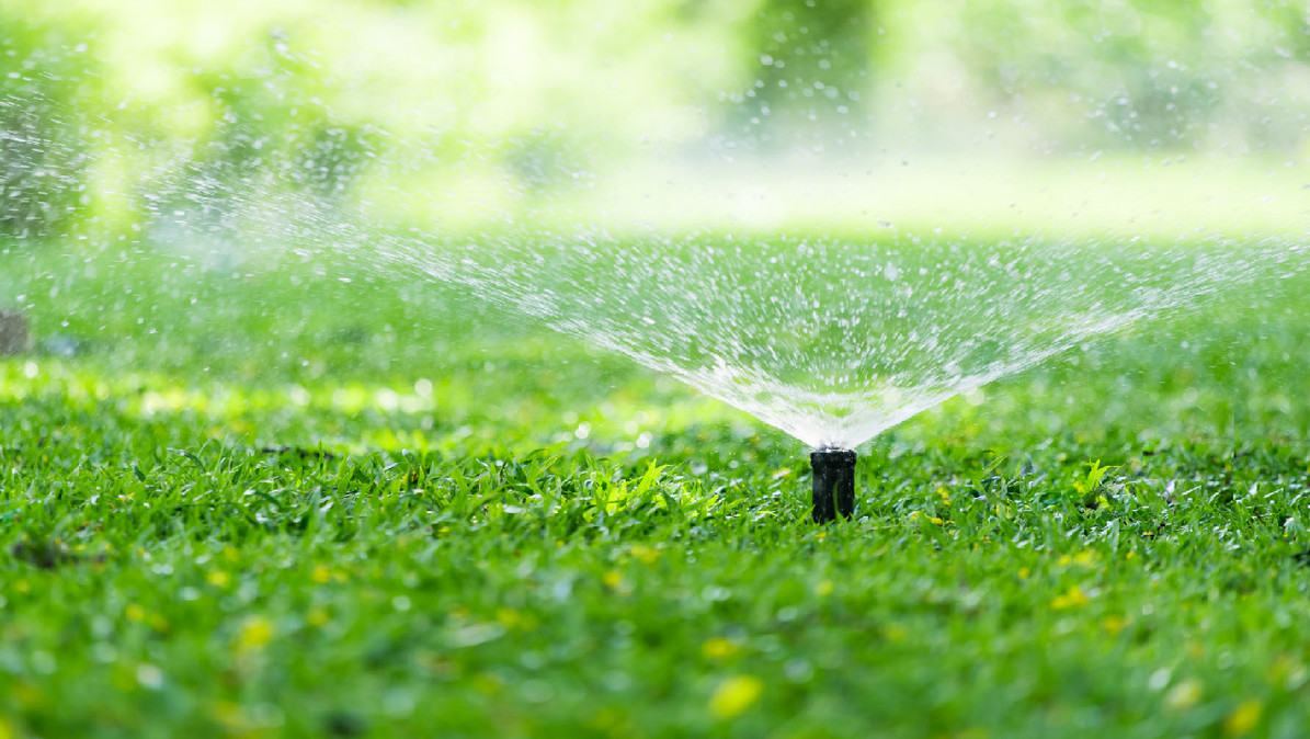 Full-Circle Shrub Sprinkler Head