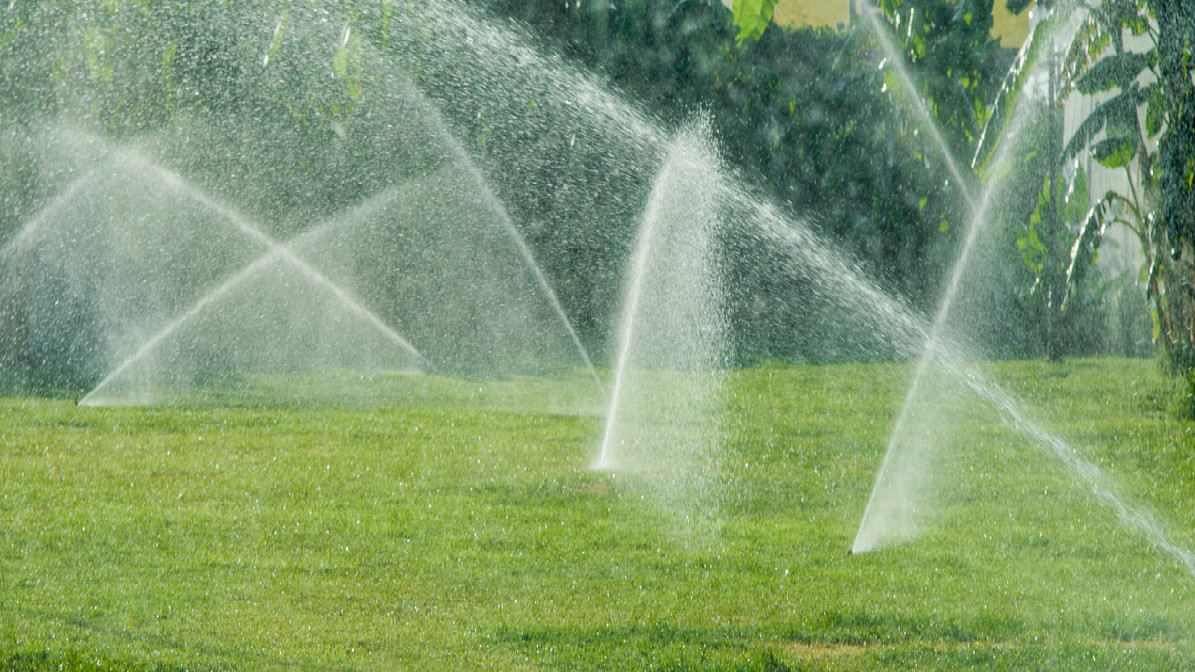 How to Locate the Sprinkler Heads with Overgrown Vegetation? - DripWorks