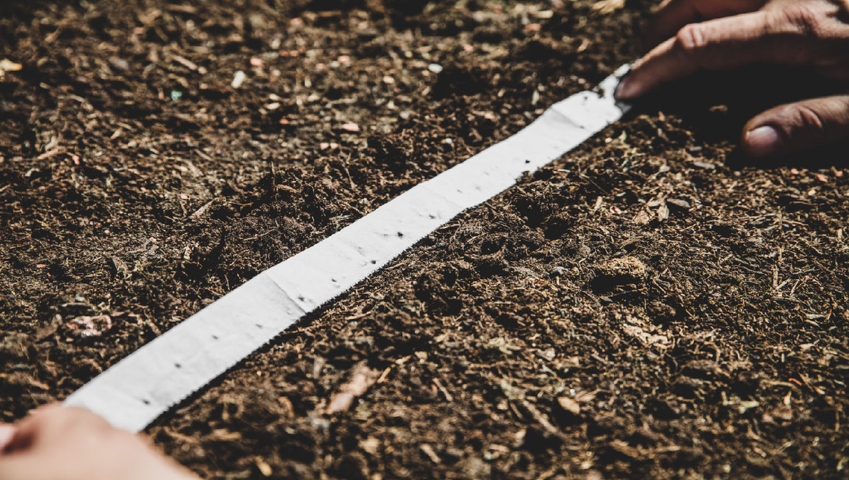 DIY Seed Tape: Planting and Spacing Carrots, Chard, Turnip and