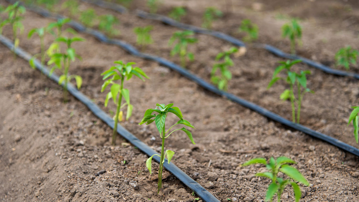 drip irrigation systems