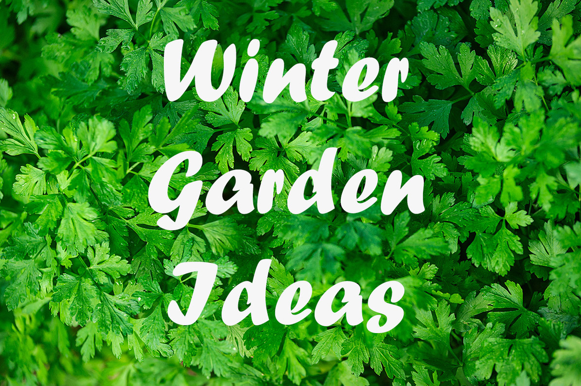 Winter Garden Ideas DripWorks