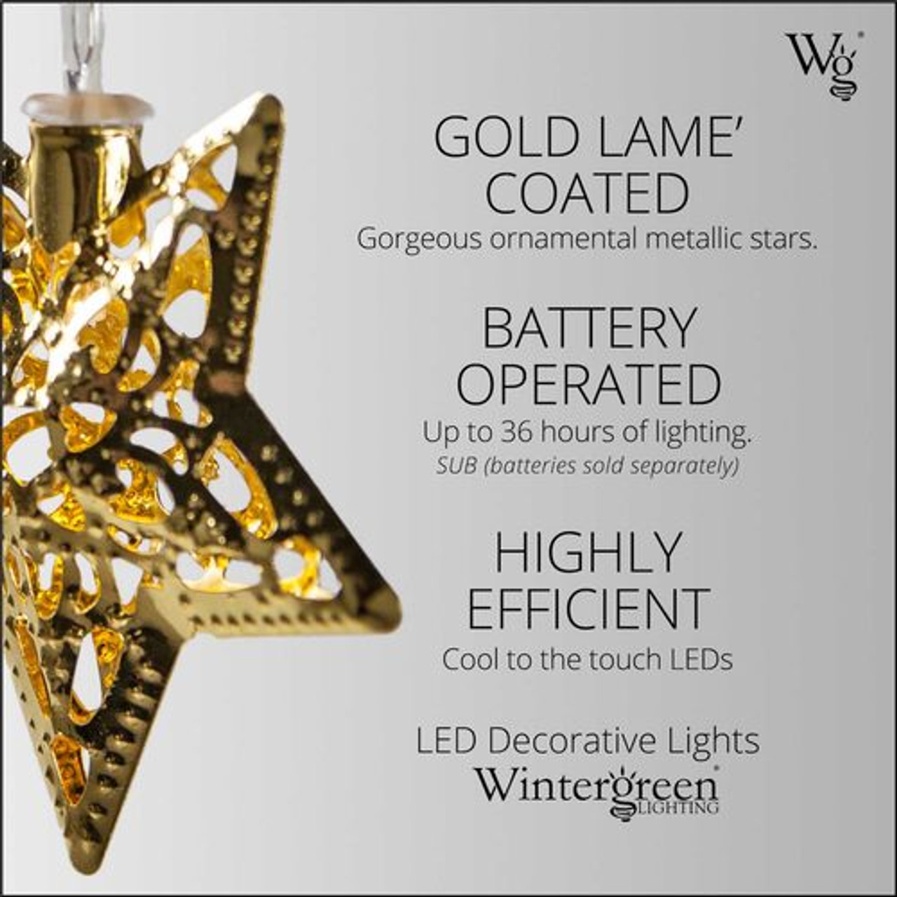 Wintergreen Lighting® 76261 - Battery Operated LED Golden Metal Star String  Lights