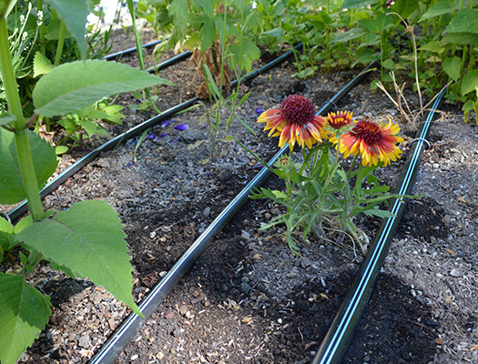 Drip Tape Row Crop Kit - Medium - Thumbnail 4