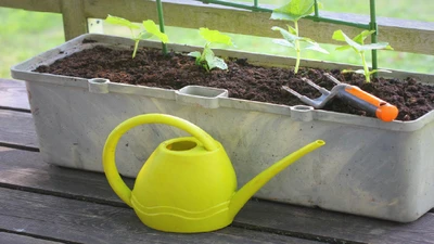 Container Gardening Ideas for Small Spaces: Pots, Plants and Growing Tips
