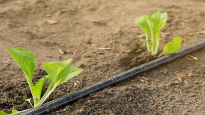 The Best Drip Irrigation Systems: What You Should Consider Before Buying