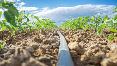 How to Repair a Drip Irrigation System How to Repair a Drip Irrigation System