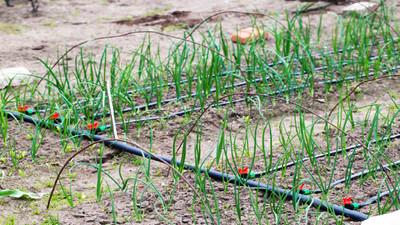 When Should You Replace Your Drip Irrigation System? Upgrade or Replace