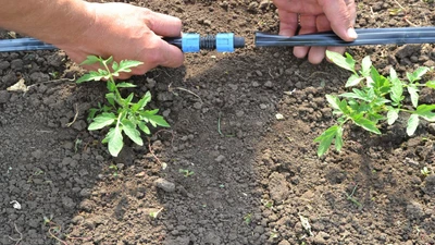 How to Repair Drip Tape: Fix Leaks, Holes, and Damaged Sections