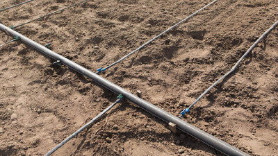 5 Common Drip Line Problems and How to Resolve Them