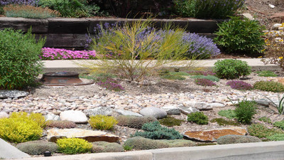 Water-Wise Gardening: Best Drought-Tolerant Plants & Landscaping Ideas Water-Wise Gardening: Best Drought-Tolerant Plants & Landscaping Ideas