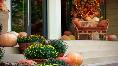 8 Fall Garden Trends: Cozy Backyard Design Tips