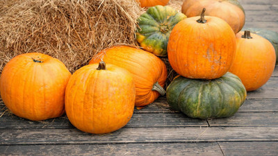 10 Best Fall Garden Ideas to Transform Your Backyard This Autumn 10 Best Fall Garden Ideas to Transform Your Backyard This Autumn