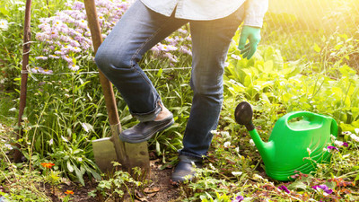 How to Prepare Garden Soil for Planting: What Every Gardener Should Know How to Prepare Garden Soil for Planting: What Every Gardener Should Know
