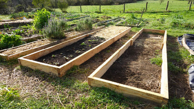 How to Build Excellent Soil for Raised Bed Gardens