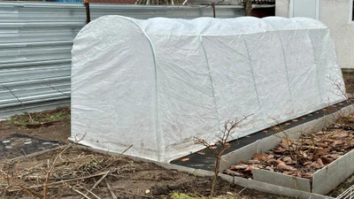 Cold Frames vs. Row Covers for Raised Beds