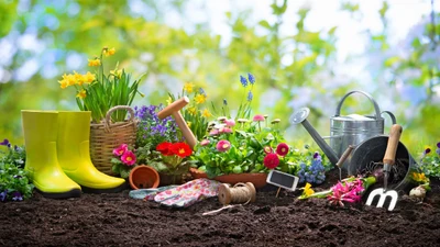 Month-by-Month Garden Checklist: What to Do All Year Long