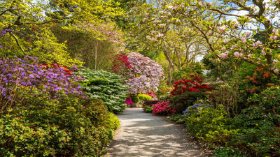 The Top Garden Design Trends for Next Spring