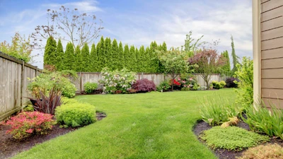 How to Landscape Around Trees Without Damaging Roots