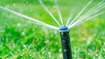 Sprinkler Systems: Common Issues and How to Fix Them