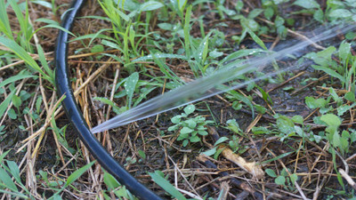 How to Fix a Leak in a Drip Irrigation System