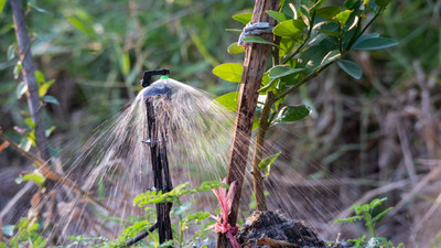 What to Consider Before Buying Micro Sprinklers for Irrigation