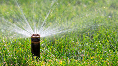The Top 6 Types of Sprinkler and Drip Irrigation Systems for Your Landscape