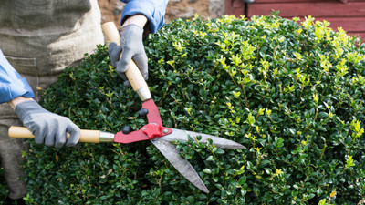 Summer’s End, Fall’s Beginning: Gardening That Lasts Summer’s End, Fall’s Beginning: Gardening That Lasts