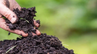 When is the Best Time to Test Your Garden Soil