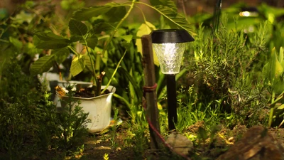 Low Voltage vs. Solar Lighting: Which Is Best for Your Garden?