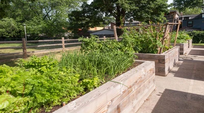 Spring Garden: May Garden Checklist For Zones 4-5 