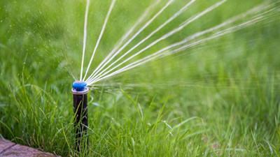 Sprinkler System Spring Startup: How to Prepare Your Irrigation System for the Season