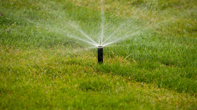 Sprinkler Selection: Top Sprinkler Systems for Home Gardens in 2026