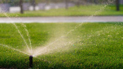 Best Irrigation Brands for Sprinklers and Drip Systems