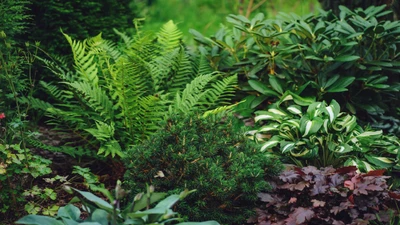 Low-Water Landscaping Ideas for Drought-Prone Areas