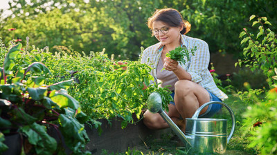 Essential July Gardening Tasks for USDA Zones 5 to 8 Essential July Gardening Tasks for USDA Zones 5 to 8