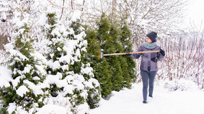 Winterizing Your Garden Made Easy: 7 Steps Every Gardener Should Know