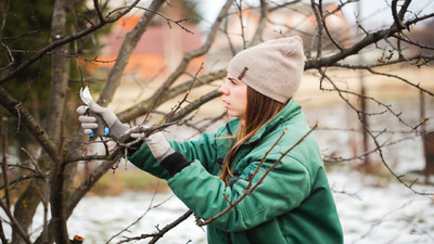 What To Do in Winter: 10 Winter Activities for Gardeners What To Do in Winter: 10 Winter Activities for Gardeners