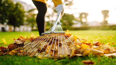 Tips to Protect Your Lawn from Winter Damage Tips to Protect Your Lawn from Winter Damage