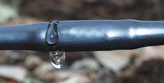 Tempo 1/4" Dripline 12" Spacing close-up of water dripping from emitter
