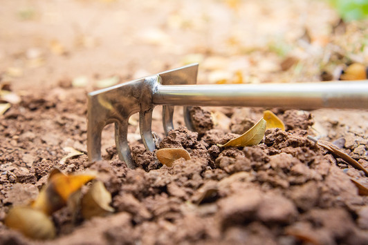 GardenBee Stainless Steel Rake