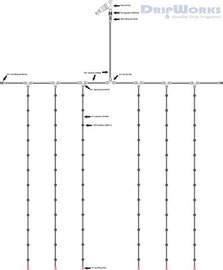 Bushes and Shrubs Plan 6