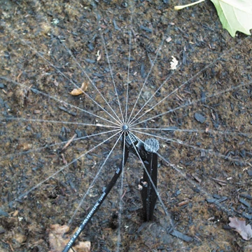 DripWorks 360-Degree Micro-Jet Sprayer emitting a 16-stream full-circle water pattern