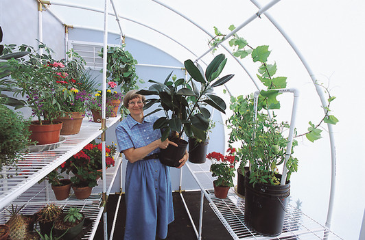 Solexx Harvester Greenhouse