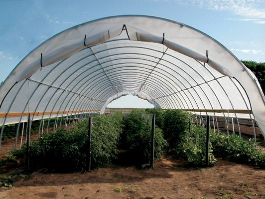 ClearSpan High Tunnel Greenhouse