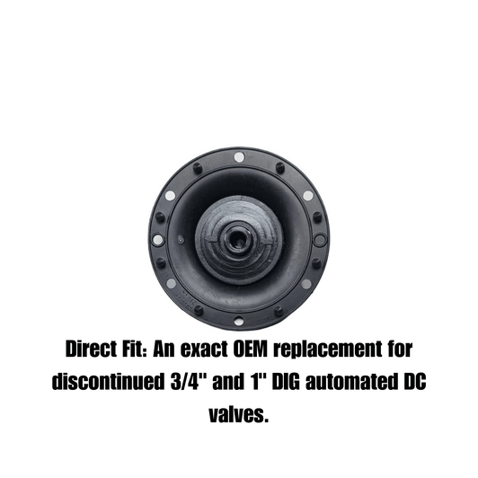 Replacement Diaphragm for DIG Valves (3/4" and 1")