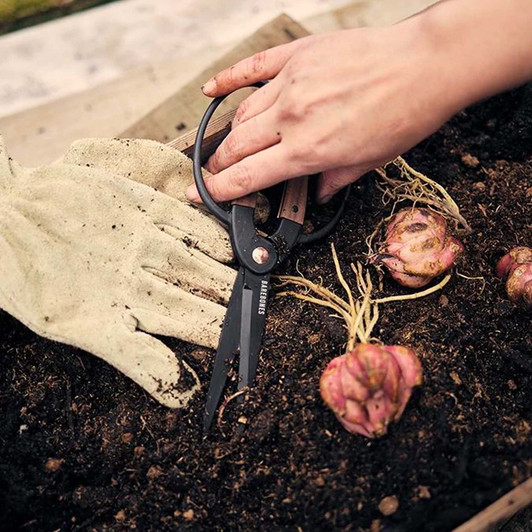 herb harvesting scissors