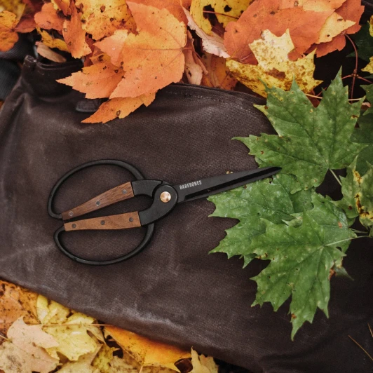 garden scissors walnut handle
