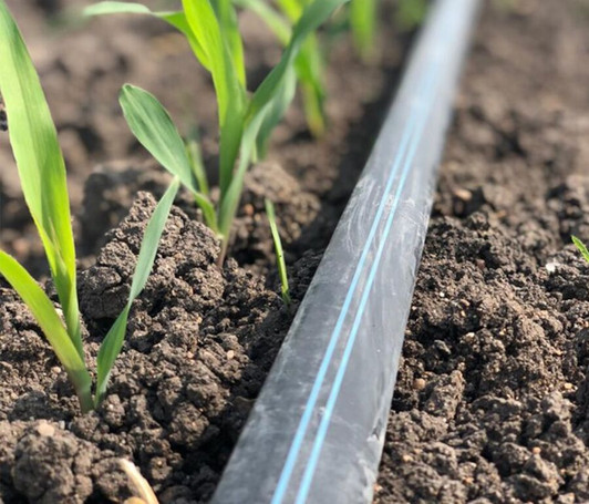 Irrigation Drip Tape Rolls